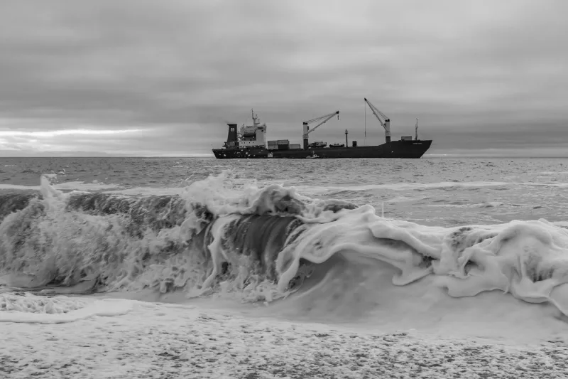 The Novel That Will Not Sink: Jack London's Enduring Grip on Maritime Cinema